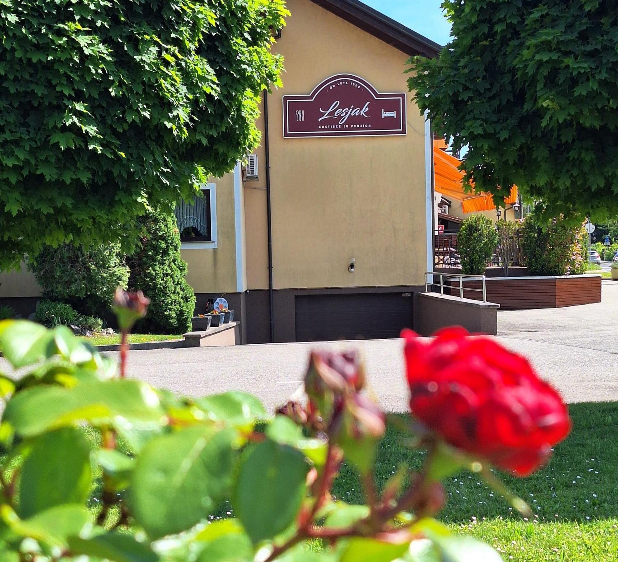 Penzion Gostisce Lesjak Orehova vas Dış mekan fotoğraf